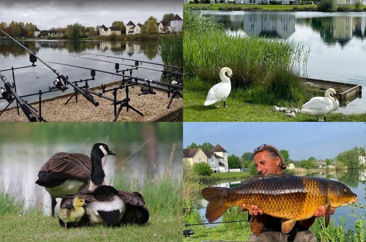 Windrush Lake 65, Sunset Lodge - P South Cerney Exteriör bild